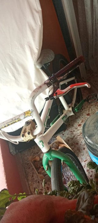 BMX GT