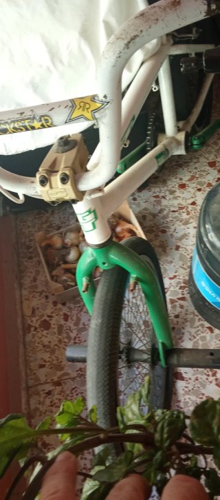 BMX GT