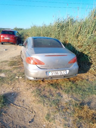Peugeot 307 2006