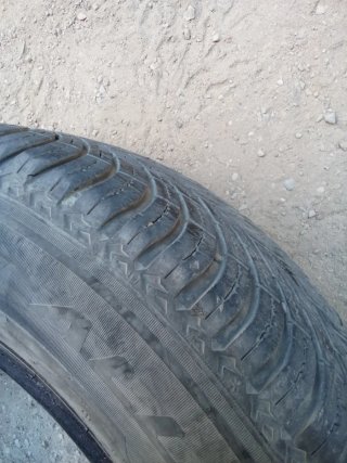 Neumático Pirelli 195/65 R15 95V SF2 All Season