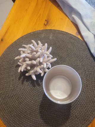 Vaso portacandela medusa beige e oro