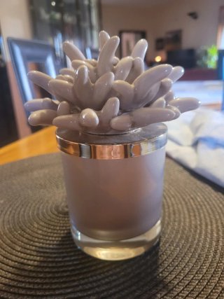 Vaso portacandela medusa beige e oro
