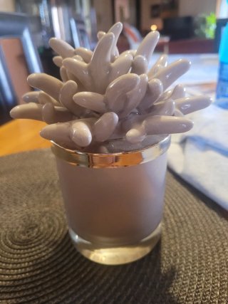 Vaso portacandela medusa beige e oro