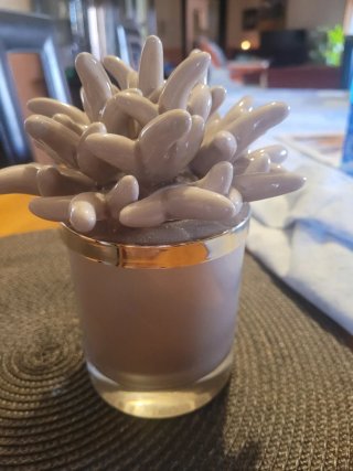 Vaso portacandela medusa beige e oro
