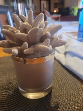 Vaso portacandela medusa beige e oro