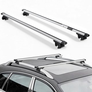 Roof Rack Cross Bars, 100 kg Capacity, Universal Fit for