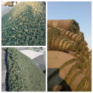 Venta de césped