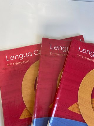 Lengua Castellana y Literatura, 4 Primaria, Moc...