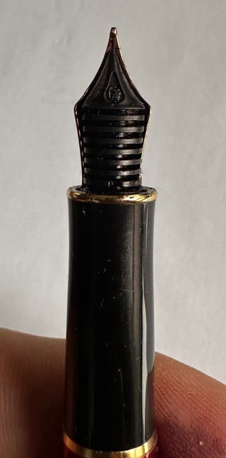 Penne stilografiche Parker