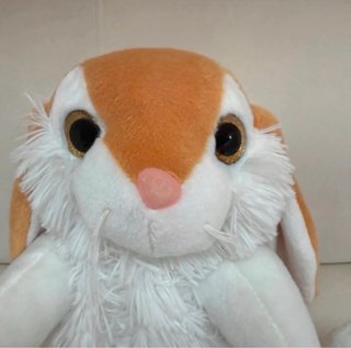 Peluche coniglio