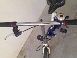 Bici Plegable Smart Bike