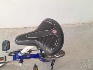 Bici Plegable Smart Bike
