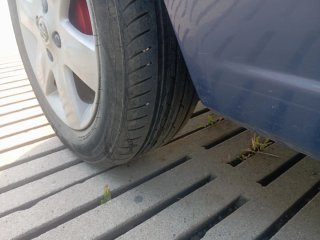 Nissan Micra 2004