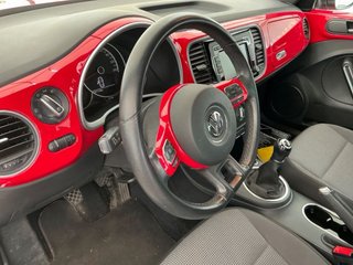 Volkswagen Beetle Kaffer 2014