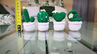 Cactus LOVE decorativos de algodón