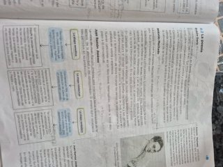 Lengua y Literatura, 4 ESO, Operación mundo. Anaya