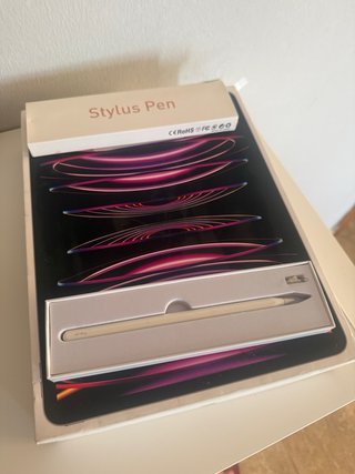 iPad Pro 12.9 256GB 6ª Gen Space Gray