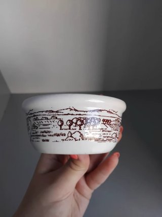 Ciotola Ceramica Mulino Bianco Collezione 2011