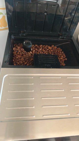 Cafetera DeLonghi PrimaDonna, grano o premolido