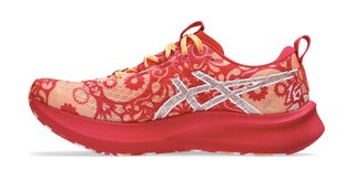 Asics Noosa TRI 16 Zapatillas Correr Hombre
