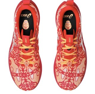 Asics Noosa TRI 16 Zapatillas Correr Hombre