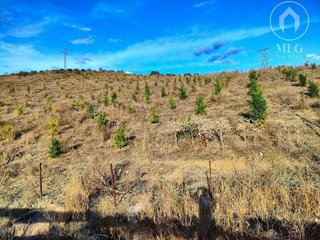 Terreno en venta en Álora