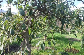 Terreno en venta en Valsequillo