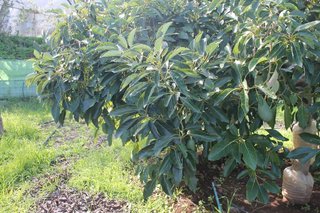 Terreno en venta en Valsequillo