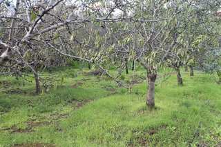 Terreno en venta en Valsequillo