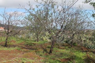 Terreno en venta en Valsequillo