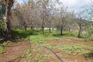 Terreno en venta en Valsequillo