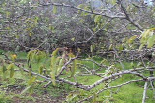 Terreno en venta en Valsequillo