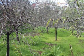 Terreno en venta en Valsequillo