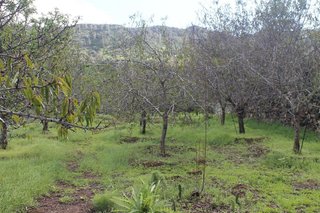 Terreno en venta en Valsequillo