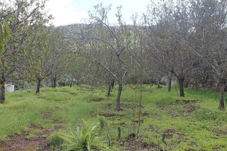 Terreno en venta en Valsequillo