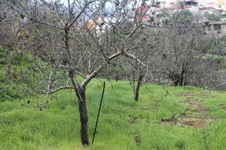 Terreno en venta en Valsequillo