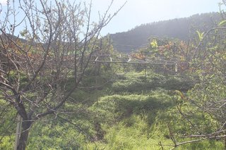 Terreno en venta en Valsequillo