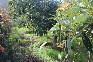 Terreno en venta en Valsequillo