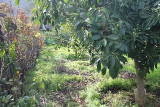 Terreno en venta en Valsequillo