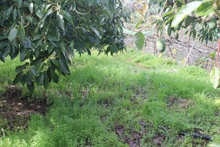 Terreno en venta en Valsequillo