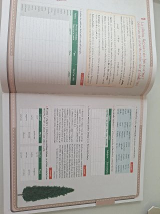 Cuaderno de ortografía 2º ESO Lengua y Literatura
