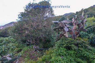 Casa rural en venta en Villa de Mazo