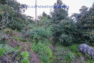 Casa rural en venta en Villa de Mazo