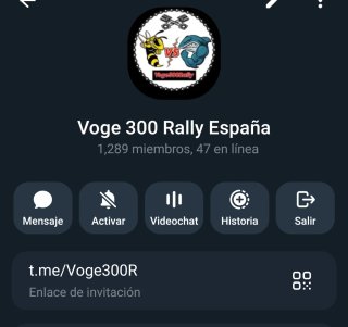 Grupo Voge 300 Rally España