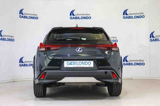 Lexus UX 2.0 250h Business