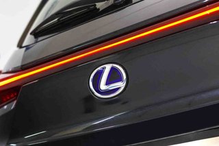 Lexus UX 2.0 250h Business