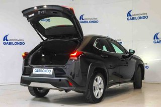 Lexus UX 2.0 250h Business