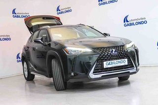 Lexus UX 2.0 250h Business