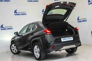 Lexus UX 2.0 250h Business