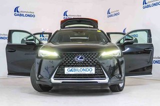 Lexus UX 2.0 250h Business